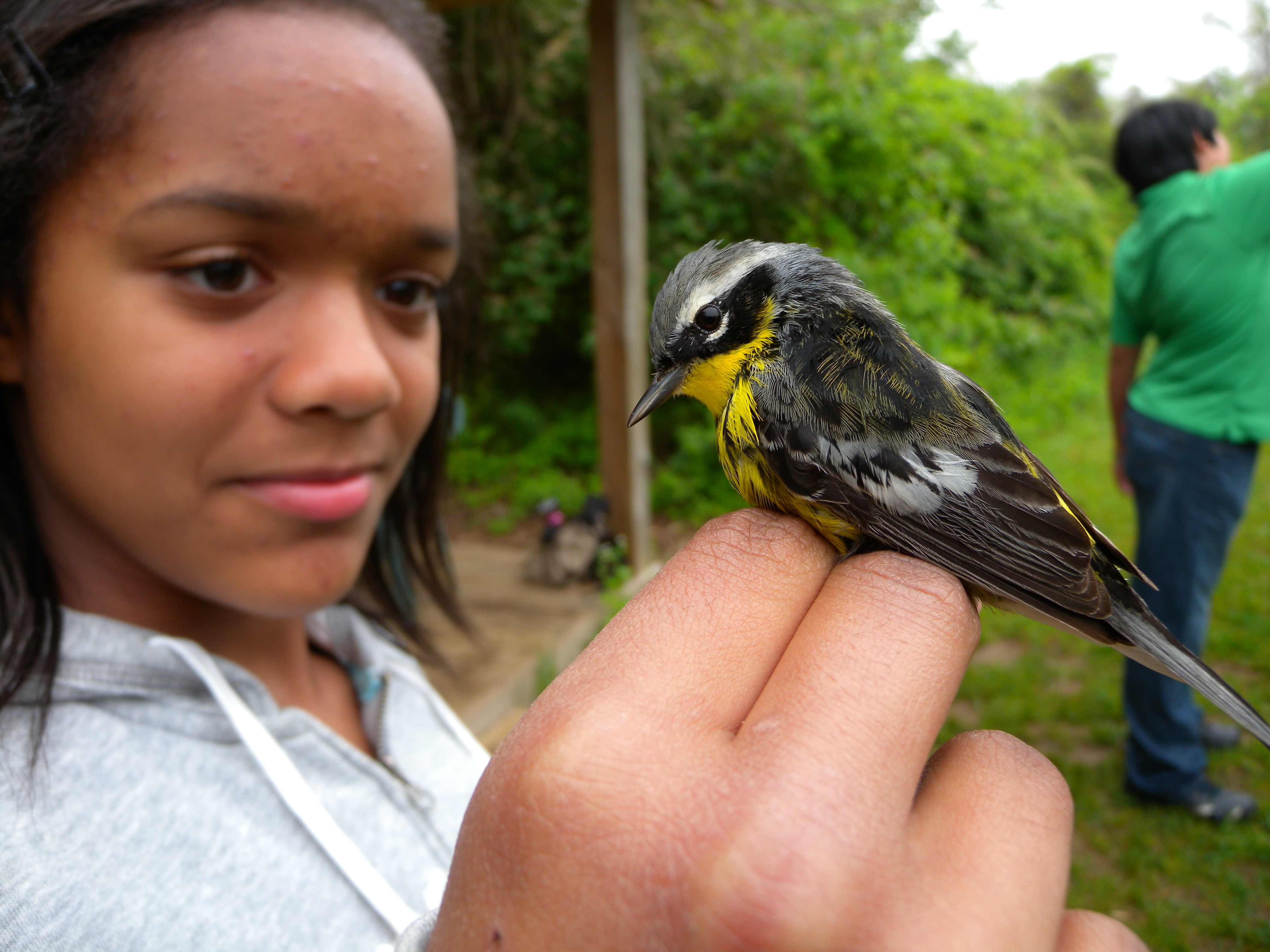 7th grader with Magnolia Warbler.  Photo by Blake Goll