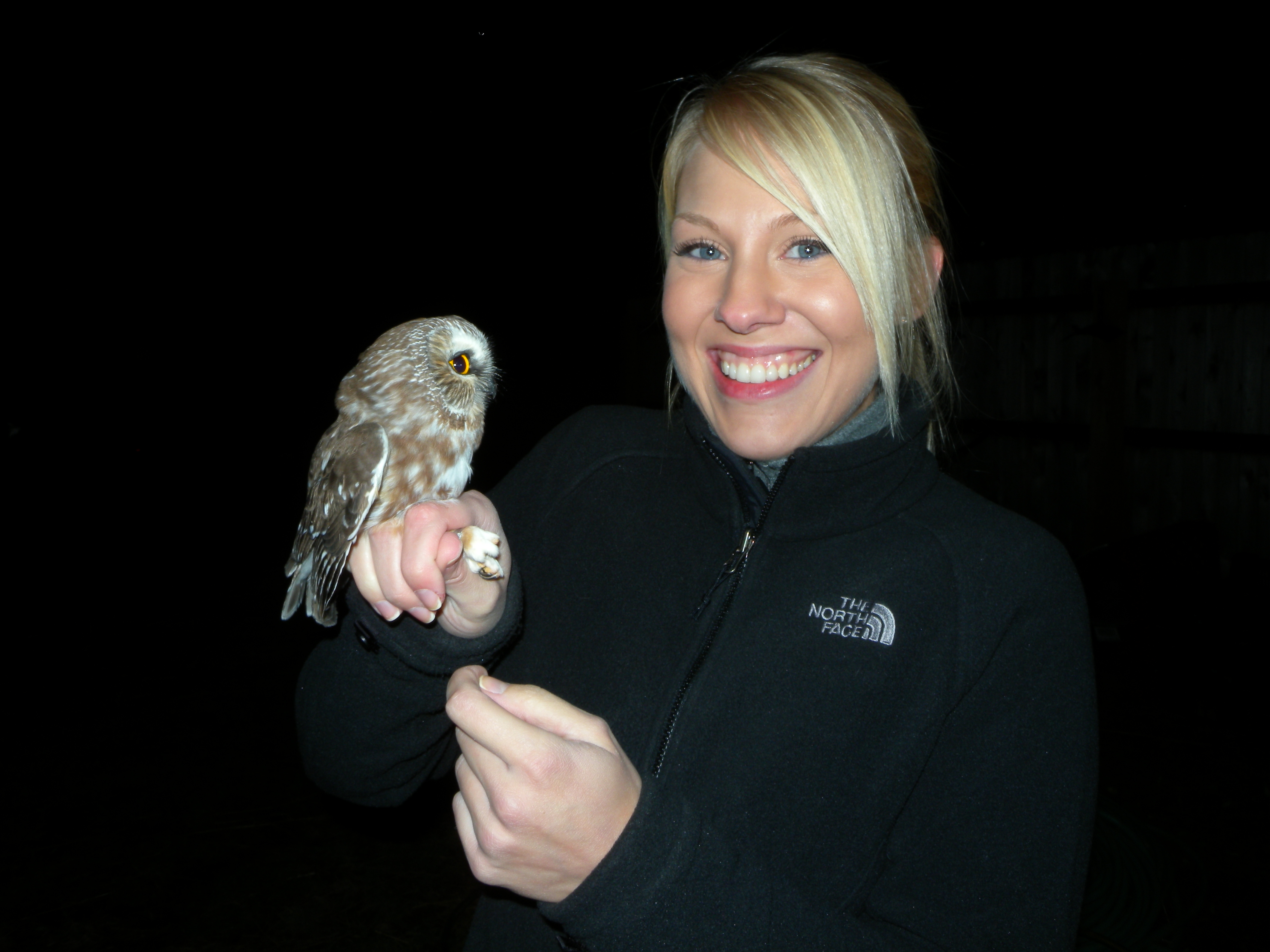 Rebecca Goll with Saw-whet Owl before release.
