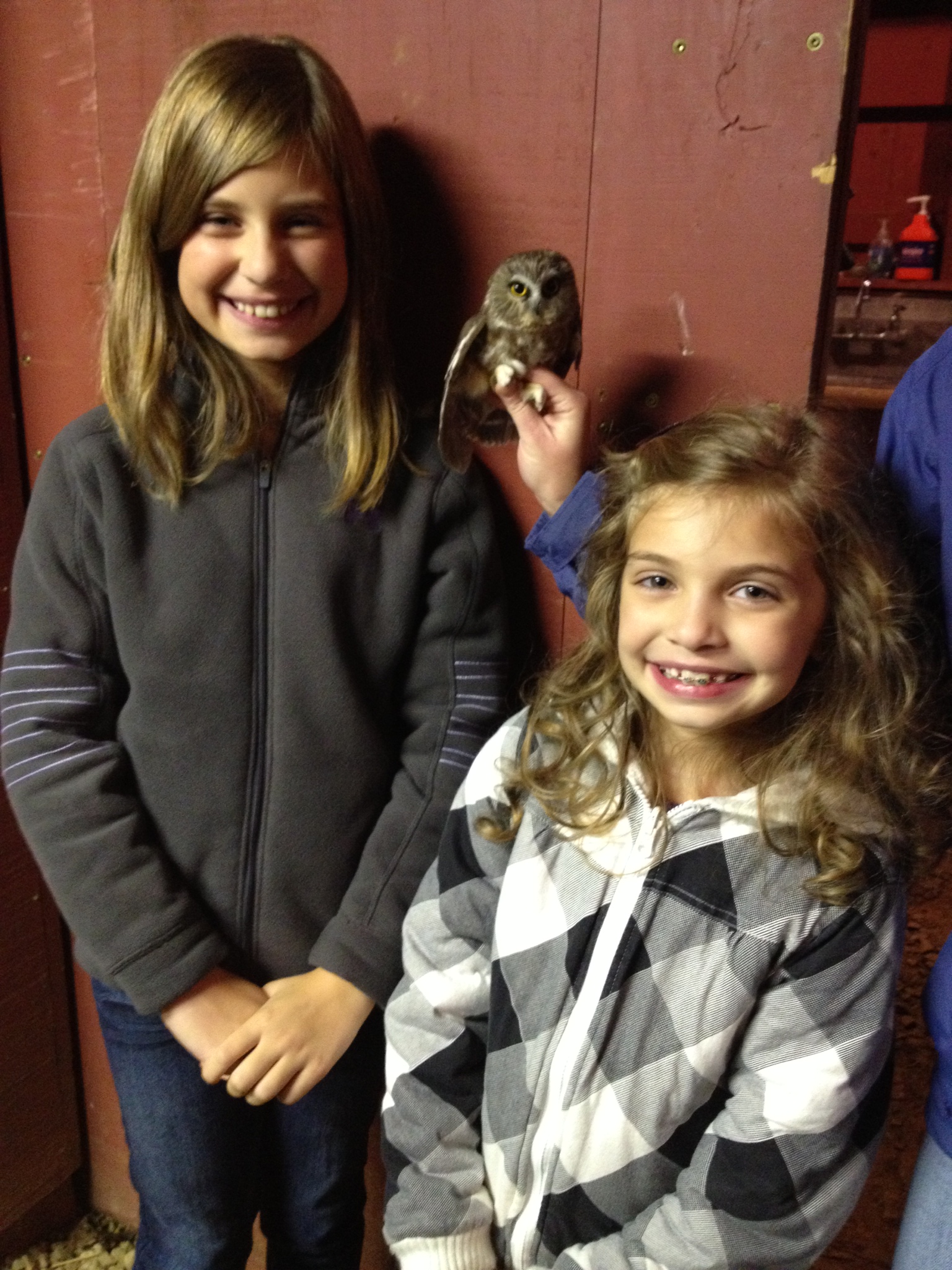 Children with Saw-whet Owl.