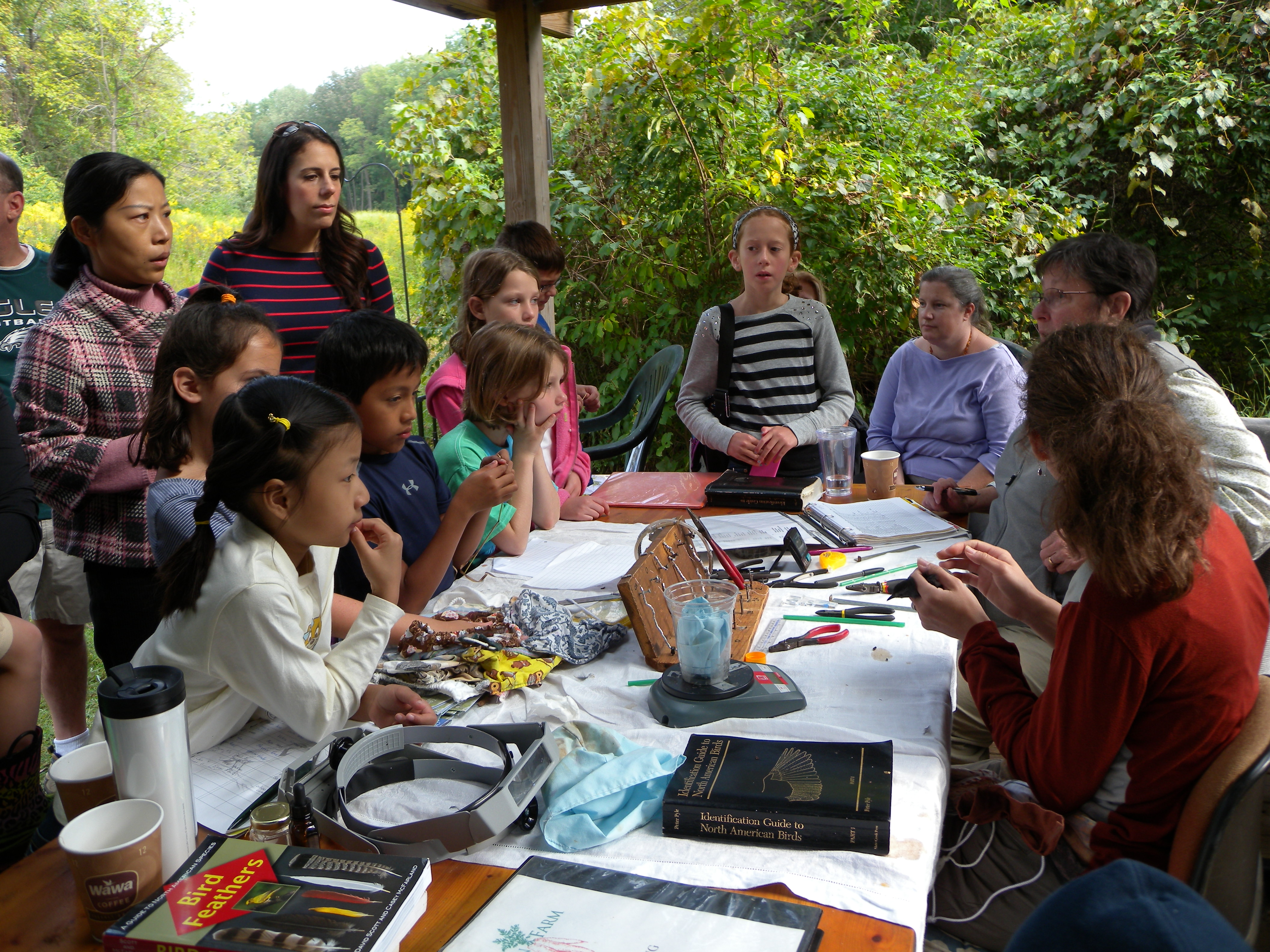 Eager Junior Birders and families crowded around the banding table at Rushton in September during the Open House