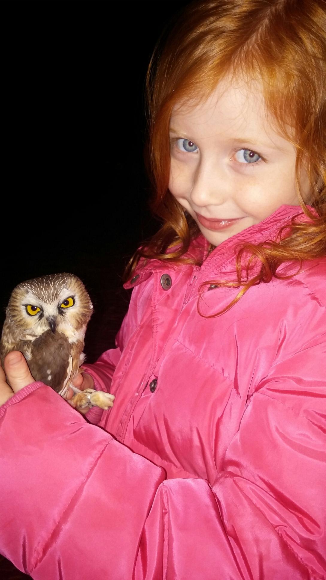 Young Birder with Northern Saw-whet Owl at Rushton.